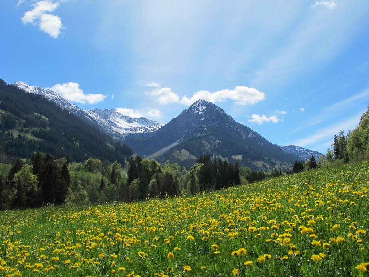 Hornblick Fewo- Ab Mai Freie Fahrt Mit Bergbahnen โอเบอร์สทดอร์ฟ ภายนอก รูปภาพ
