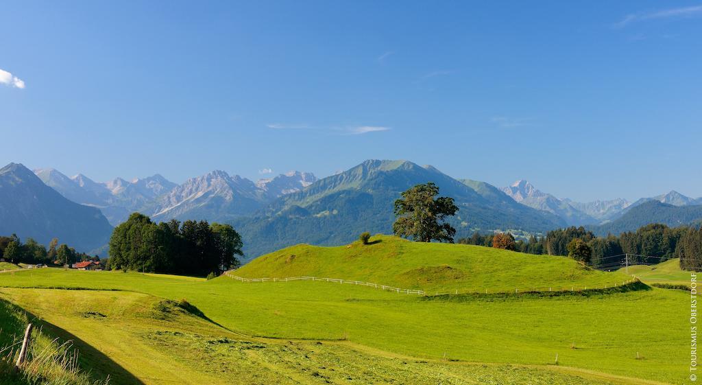 Hornblick Fewo- Ab Mai Freie Fahrt Mit Bergbahnen โอเบอร์สทดอร์ฟ ภายนอก รูปภาพ