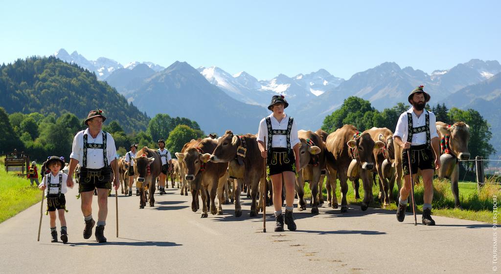 Hornblick Fewo- Ab Mai Freie Fahrt Mit Bergbahnen โอเบอร์สทดอร์ฟ ภายนอก รูปภาพ